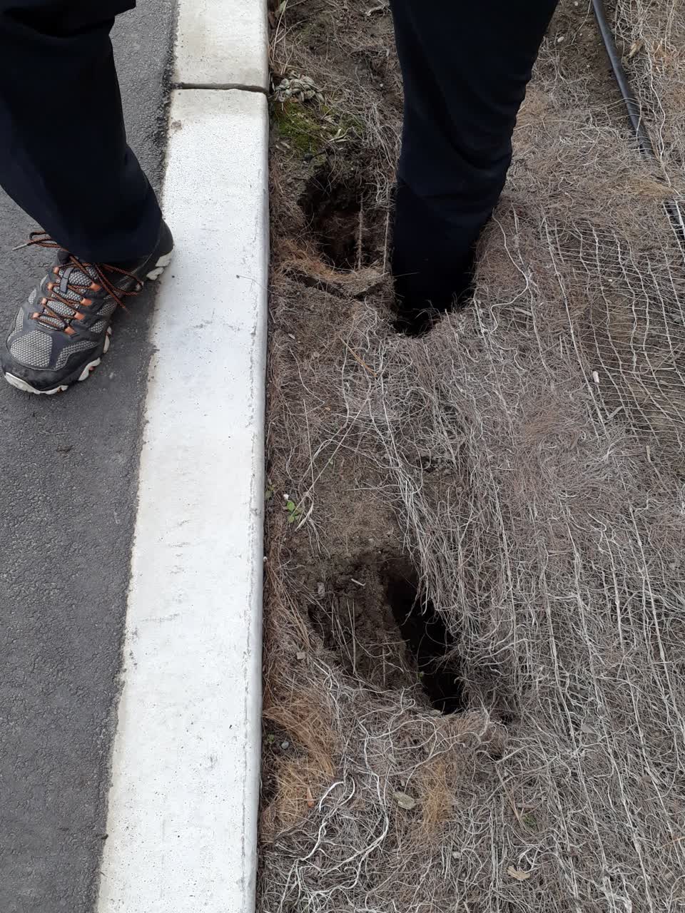 The photograph attached to this parks report