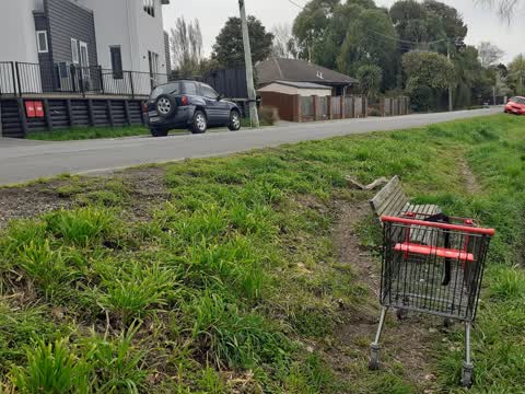 Rubbish/Recycling, a report photo