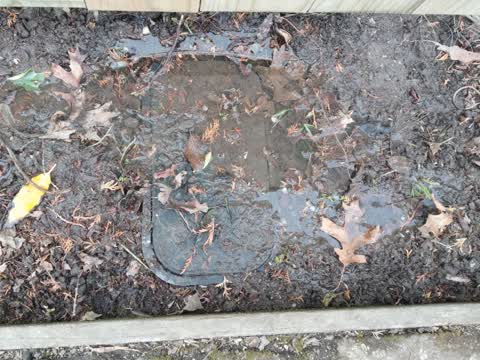 Water Supply, a report photo