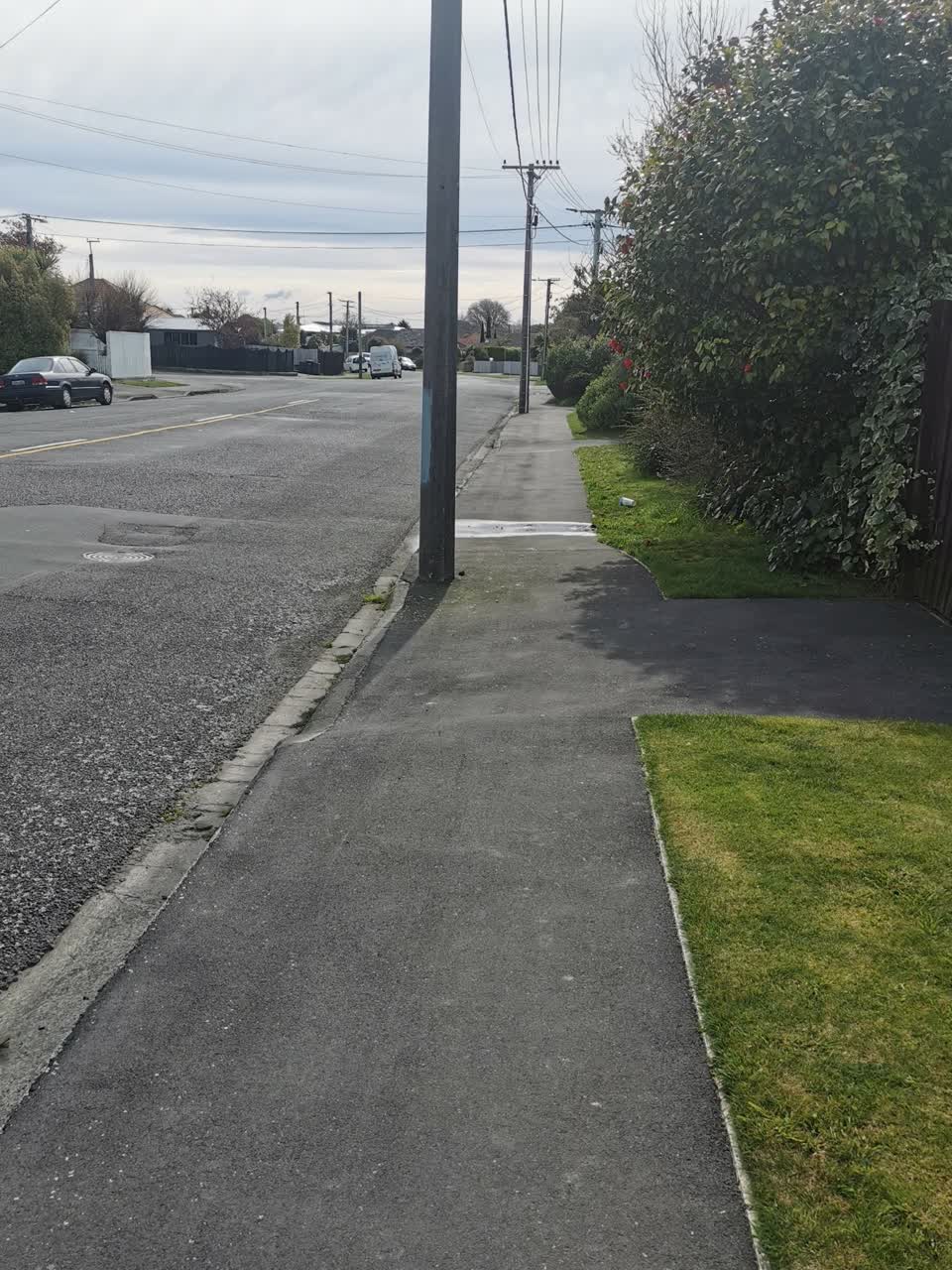 The photograph attached to this water supply report
