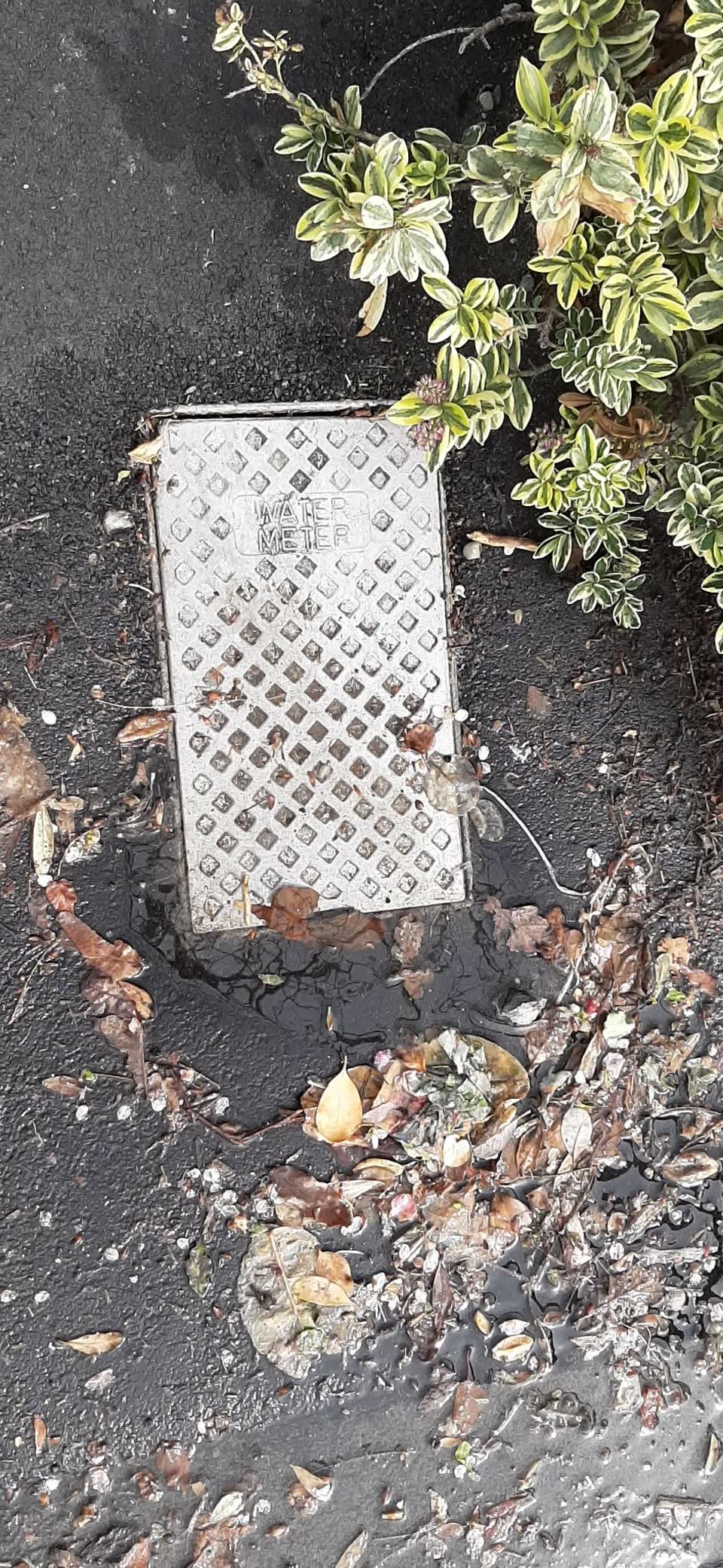 The photograph attached to this water supply report