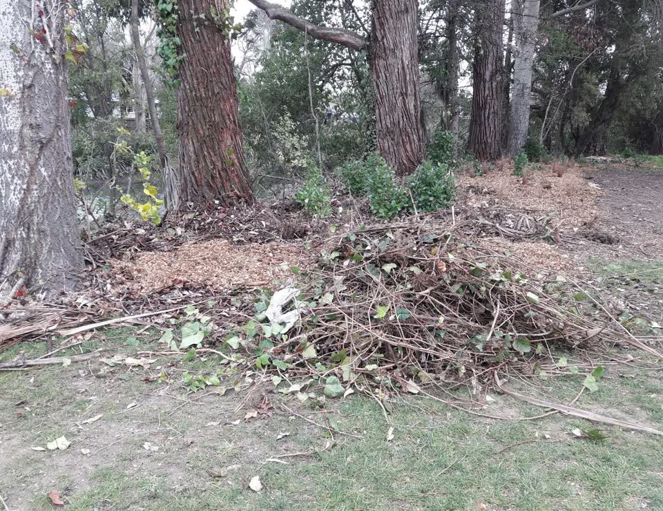 The photograph attached to this parks report