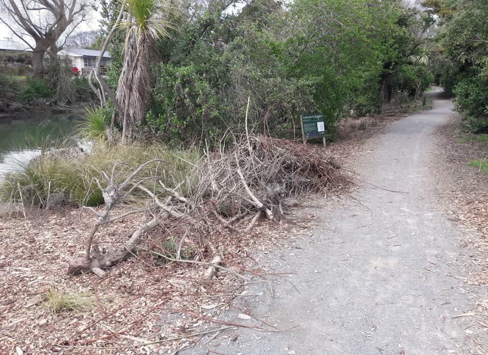 The photograph attached to this parks report
