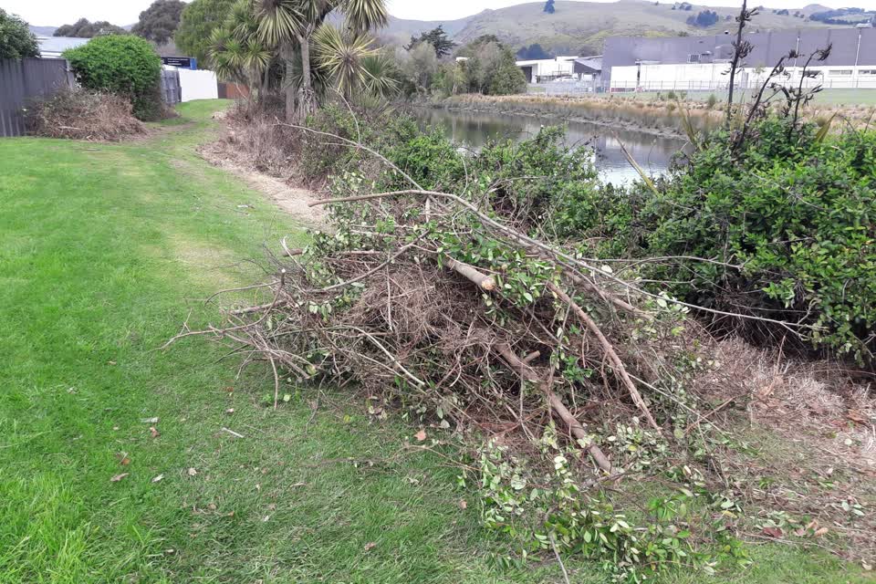 The photograph attached to this parks report