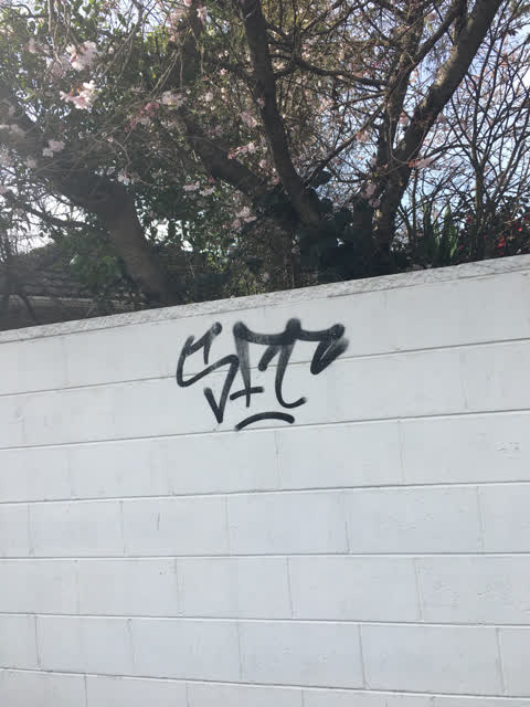 Graffiti, a report photo