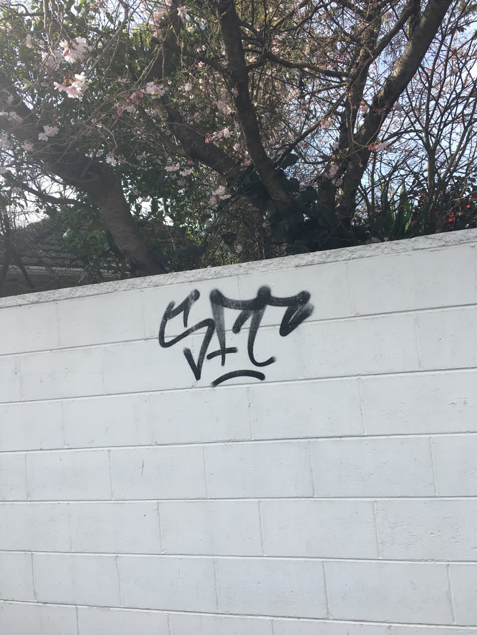 The photograph attached to this graffiti report