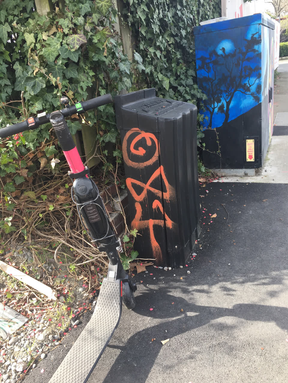The photograph attached to this graffiti report
