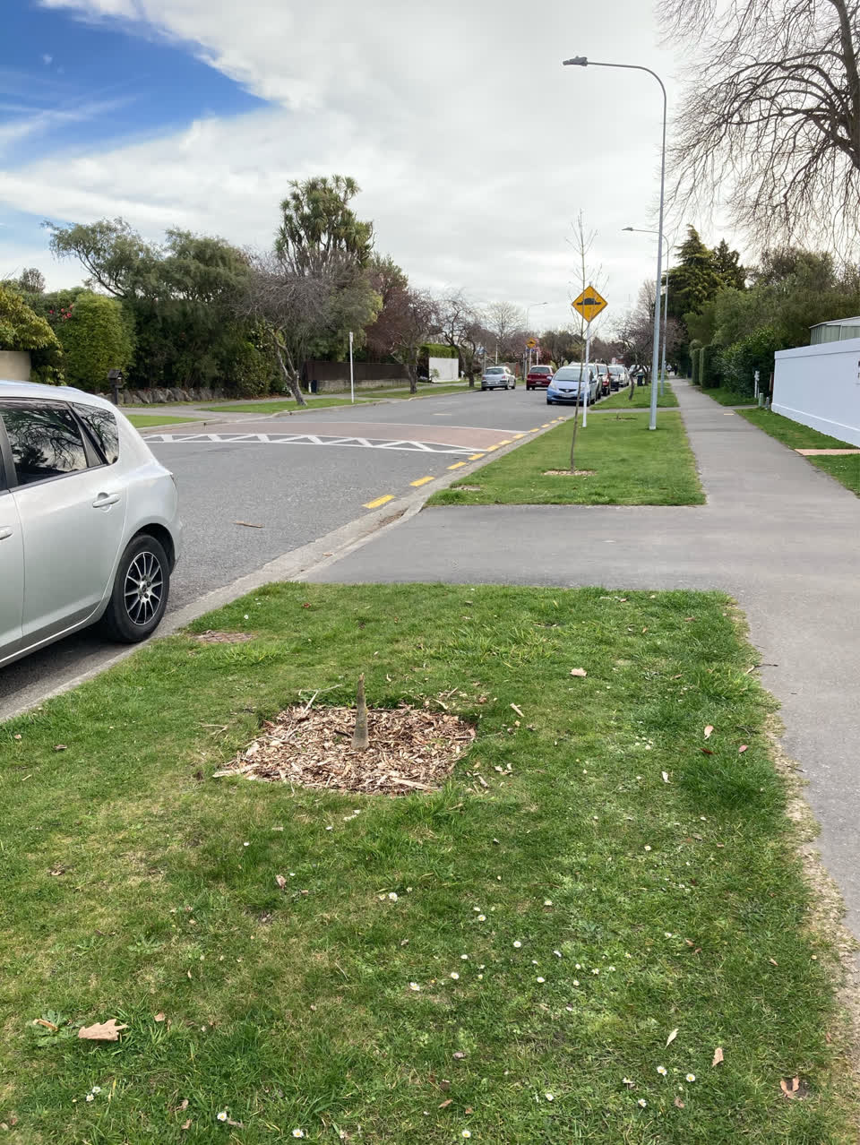 The photograph attached to this parks report
