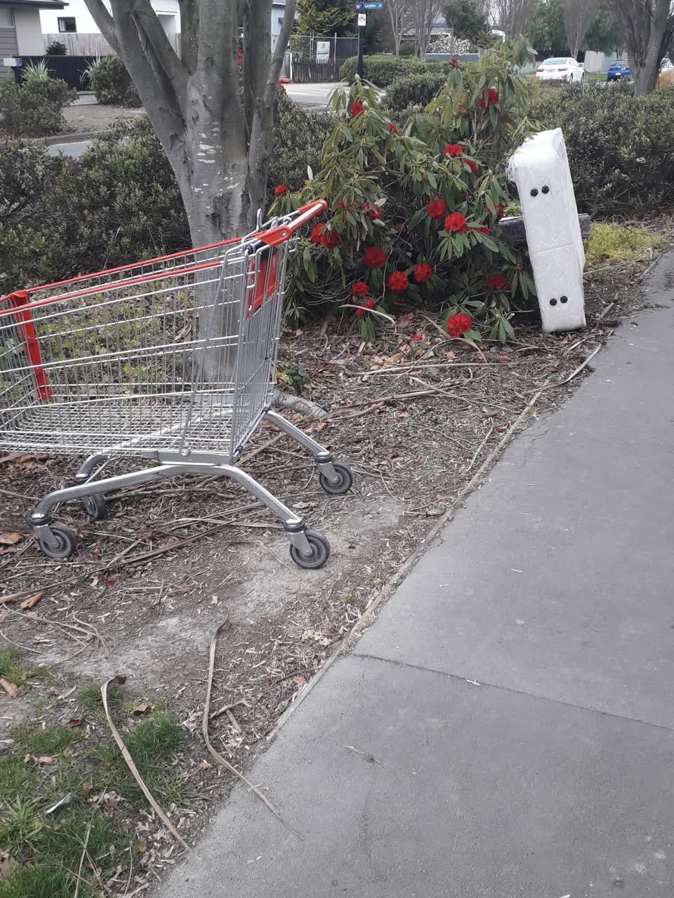 The photograph attached to this rubbish/recycling report