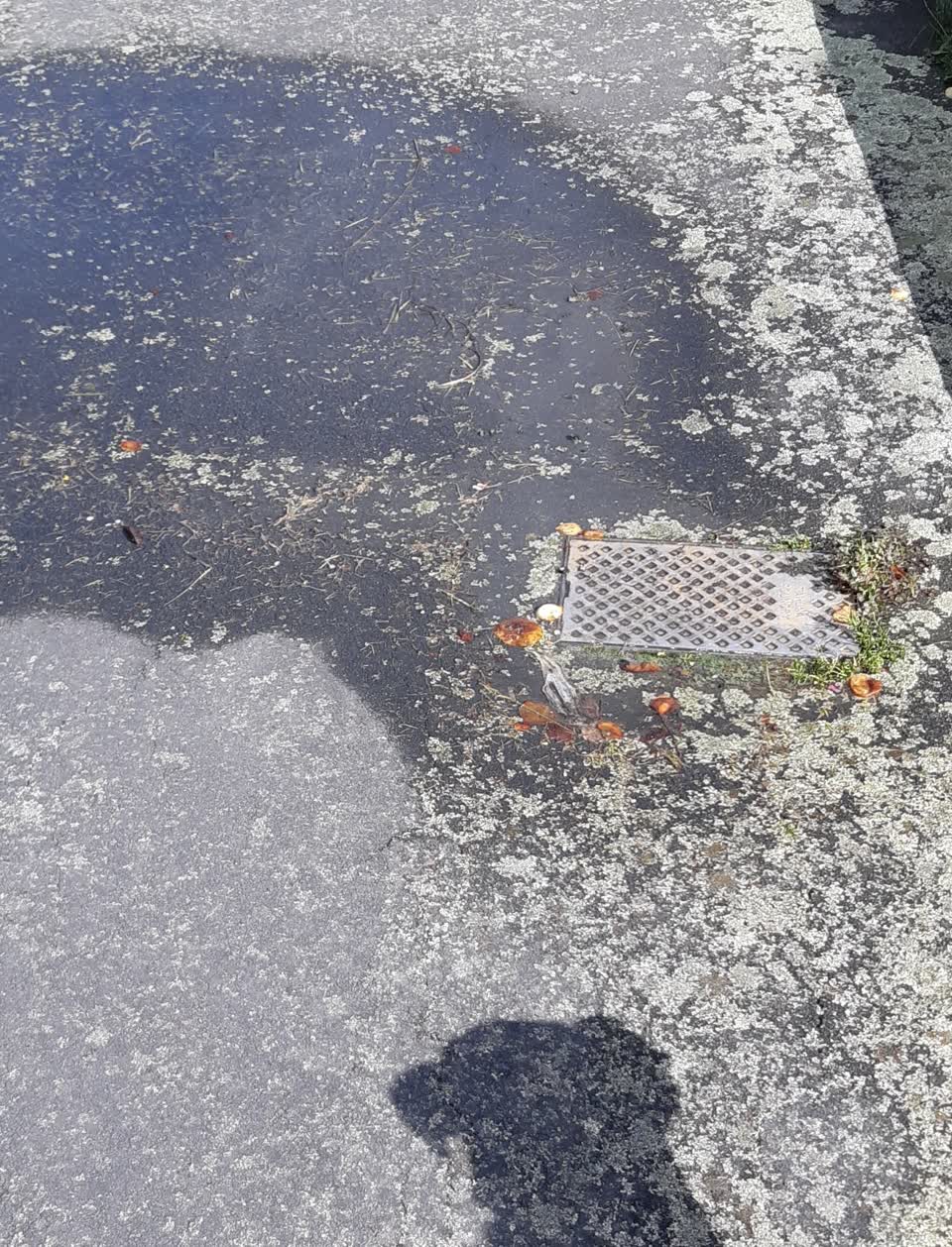 The photograph attached to this water supply report