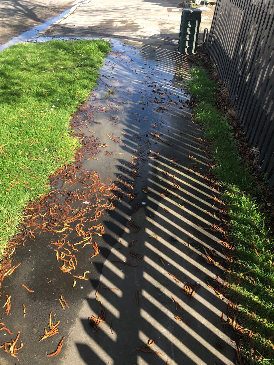 The photograph attached to this water supply report