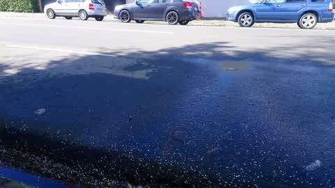 Water Supply, a report photo