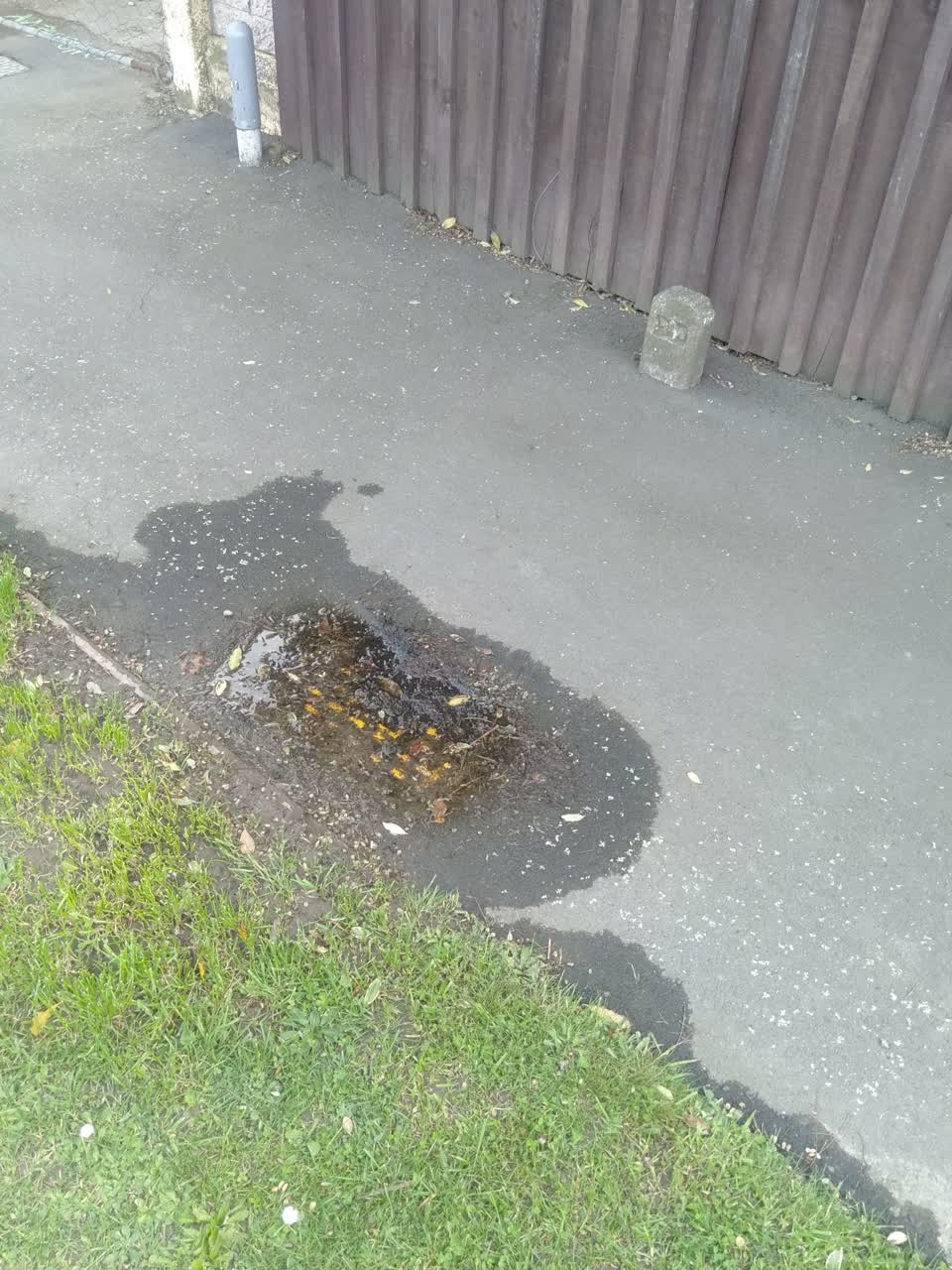 The photograph attached to this flooding report