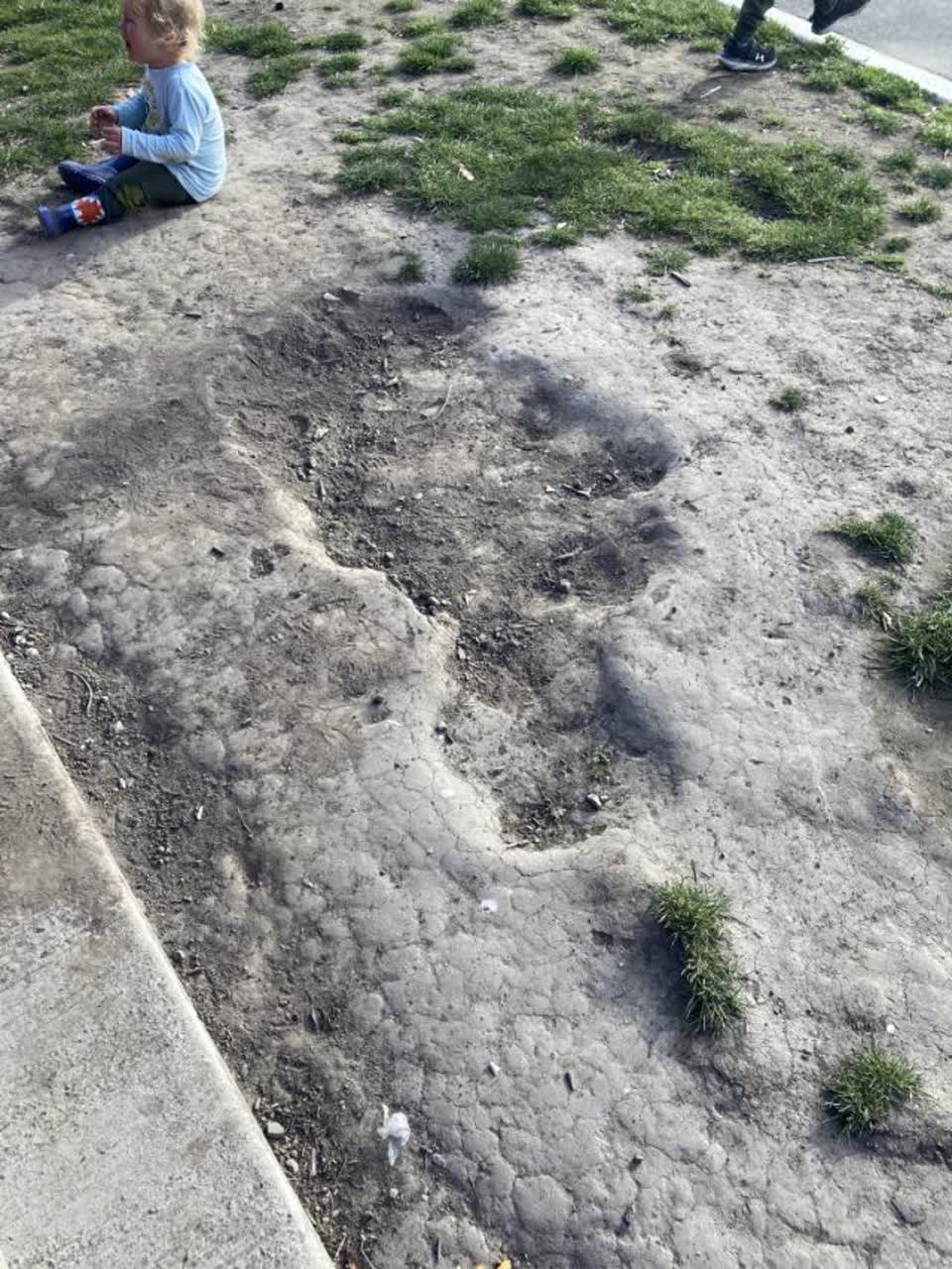 The photograph attached to this parks report