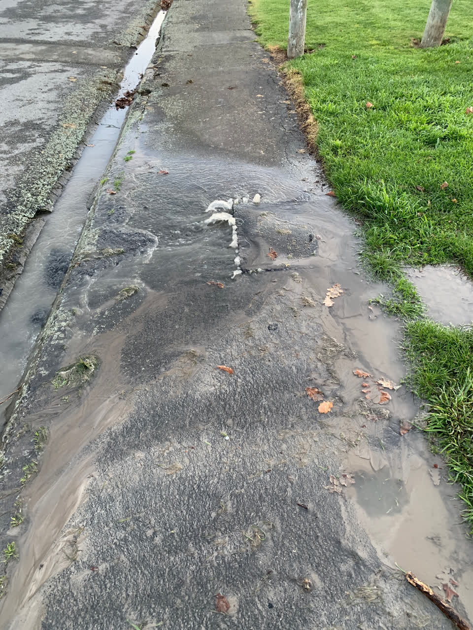The photograph attached to this water supply report