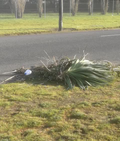 Rubbish/Recycling, a report photo