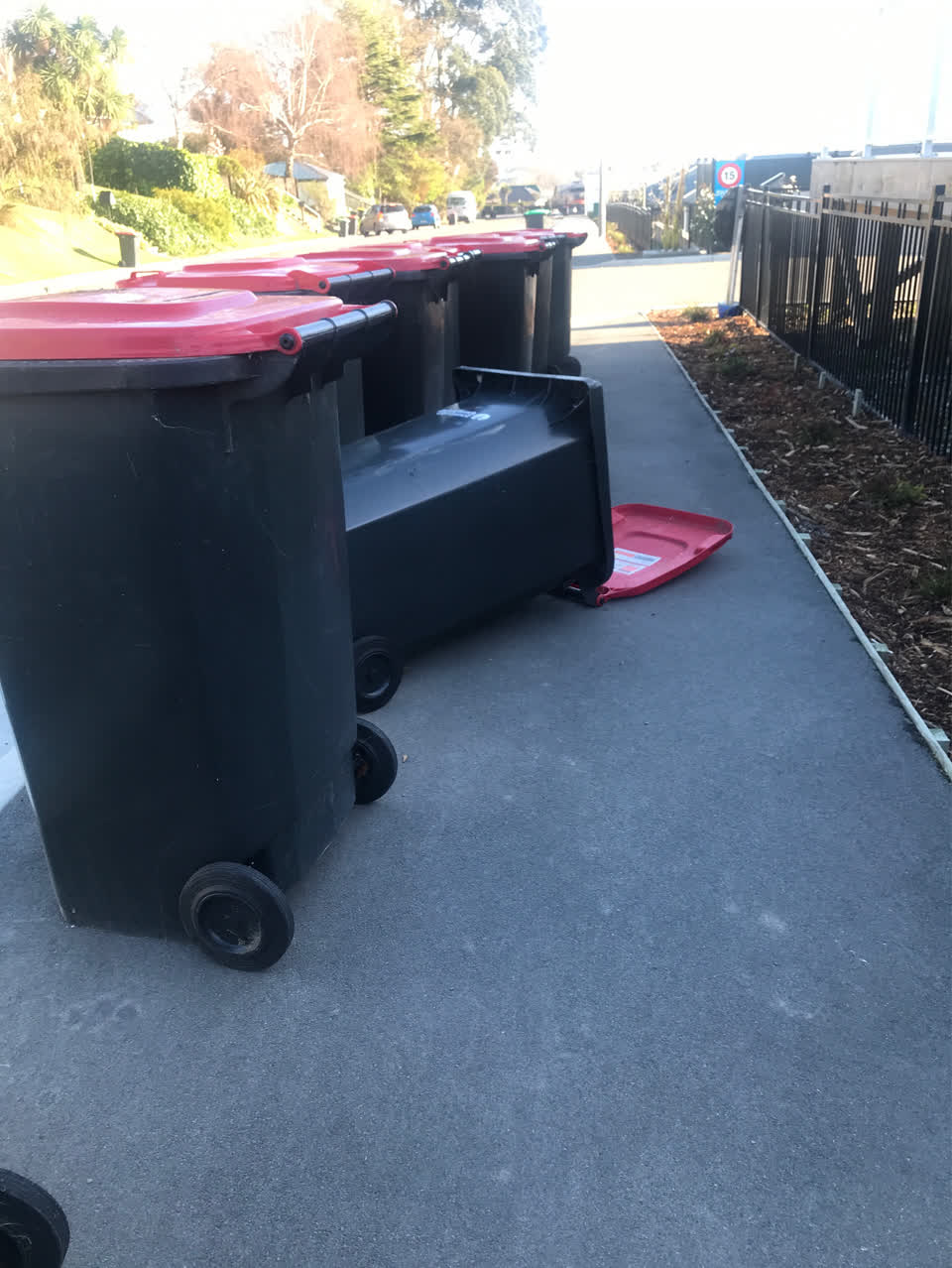 The photograph attached to this rubbish/recycling report