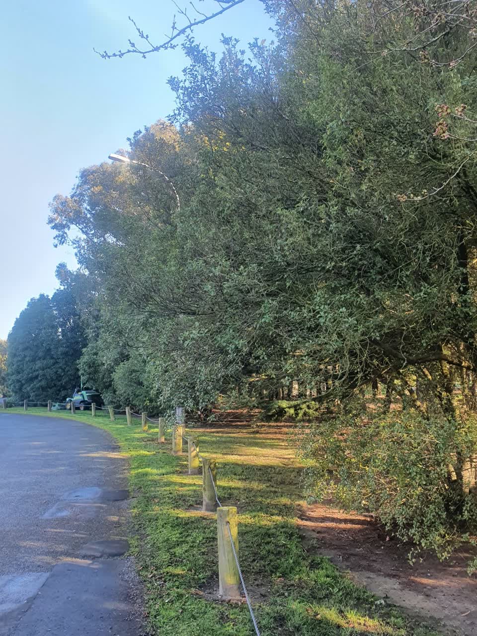The photograph attached to this parks report