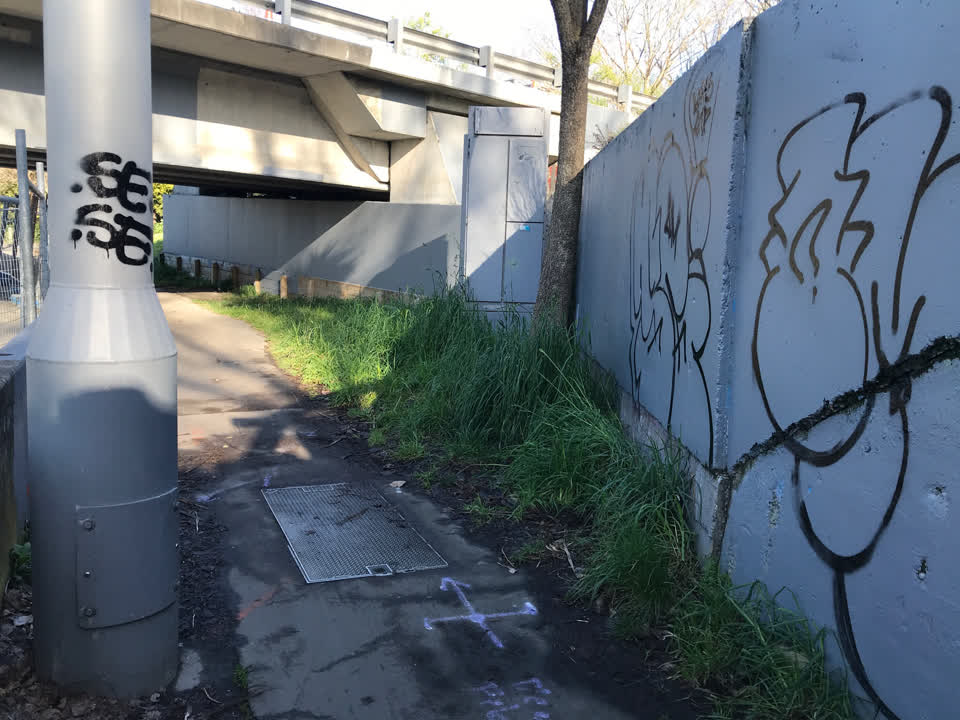 The photograph attached to this graffiti report