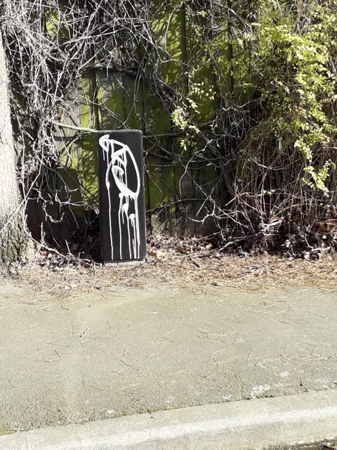 Graffiti, a report photo