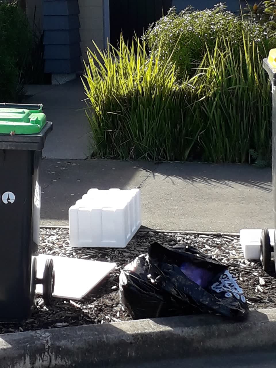 The photograph attached to this rubbish/recycling report