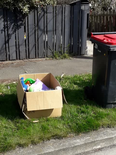Rubbish/Recycling, a report photo