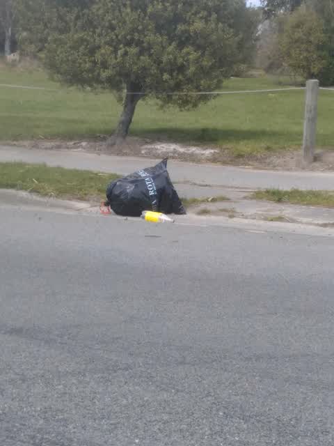 Rubbish/Recycling, a report photo