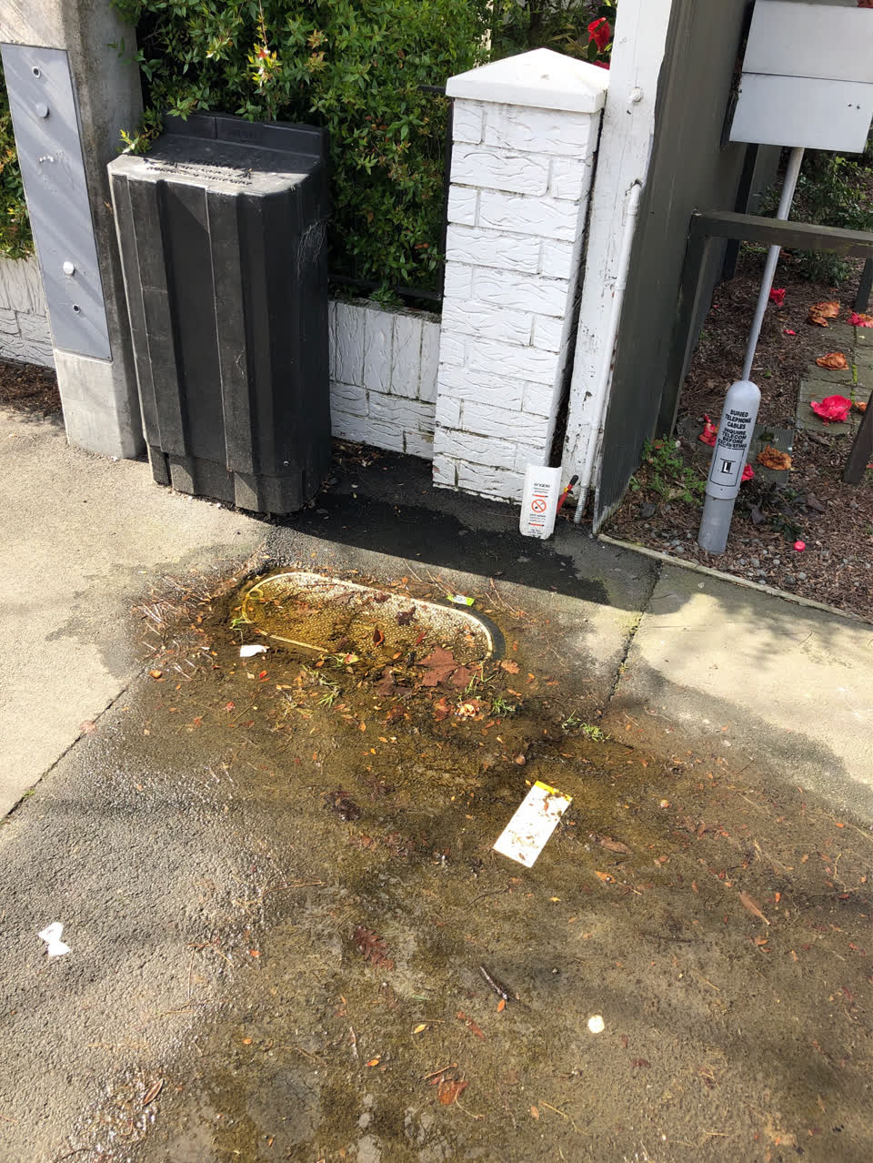 The photograph attached to this water supply report