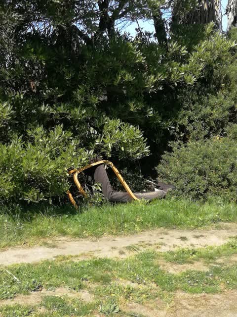 Rubbish/Recycling — a report photo