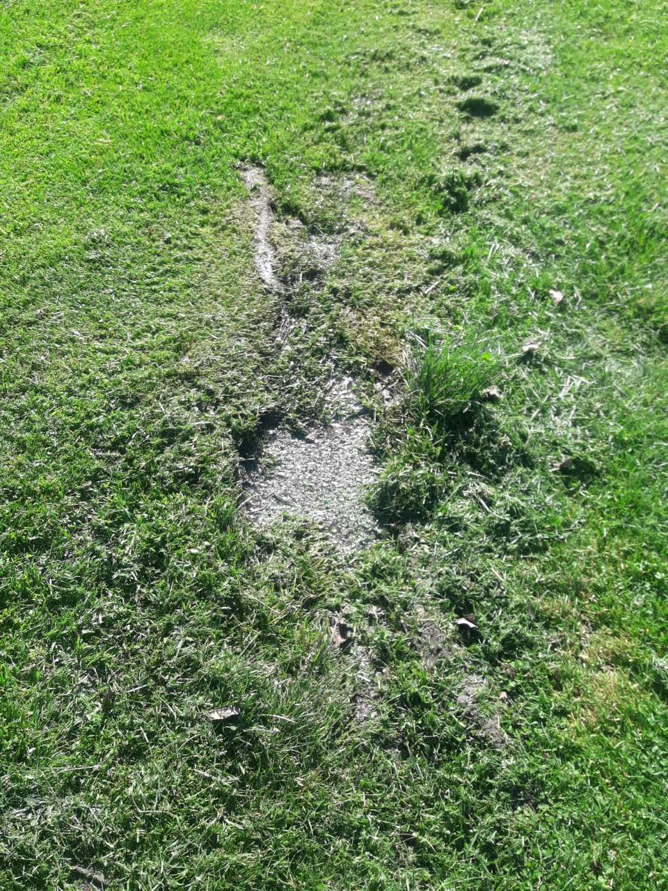 The photograph attached to this parks report