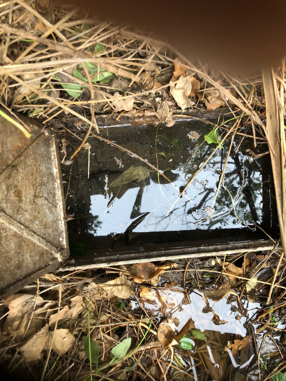 The photograph attached to this water supply report