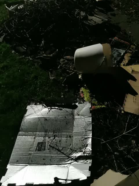 Rubbish/Recycling, a report photo