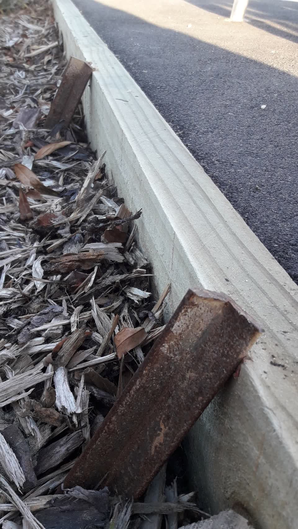 The photograph attached to this parks report