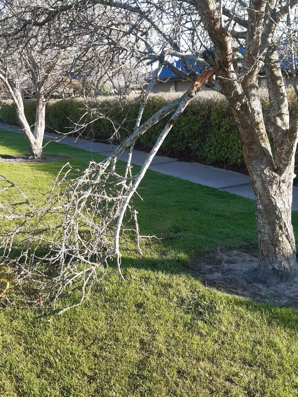 The photograph attached to this parks report