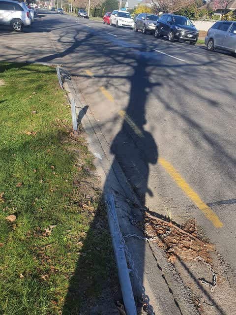 Parks, a report photo