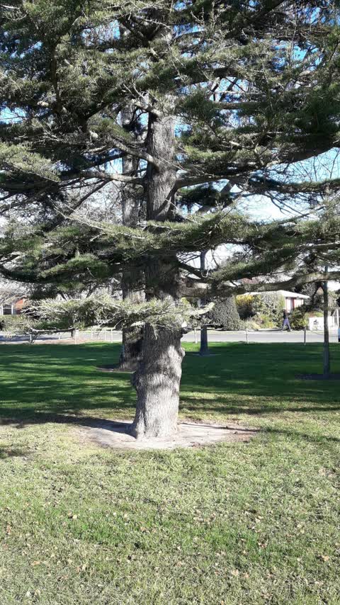 Parks, a report photo
