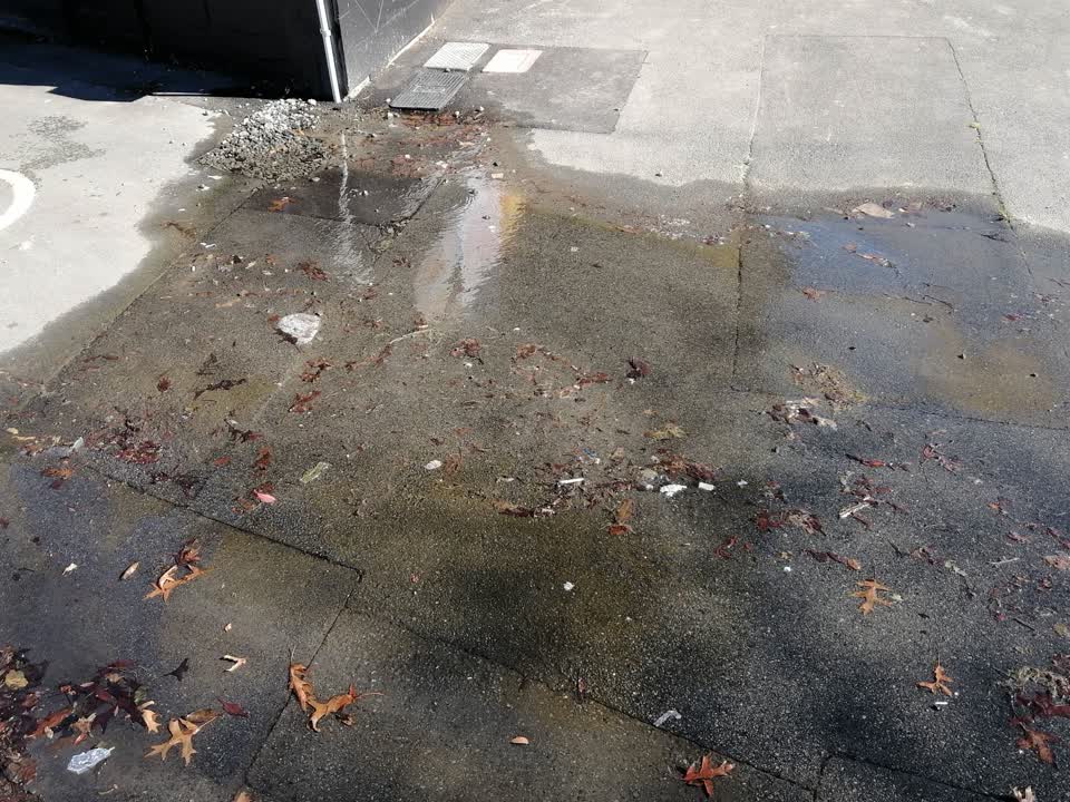The photograph attached to this water supply report