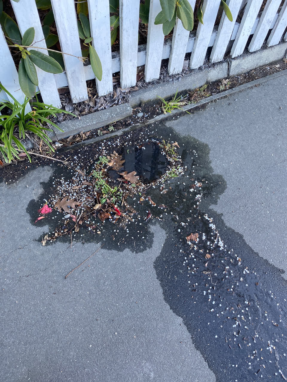 The photograph attached to this water supply report