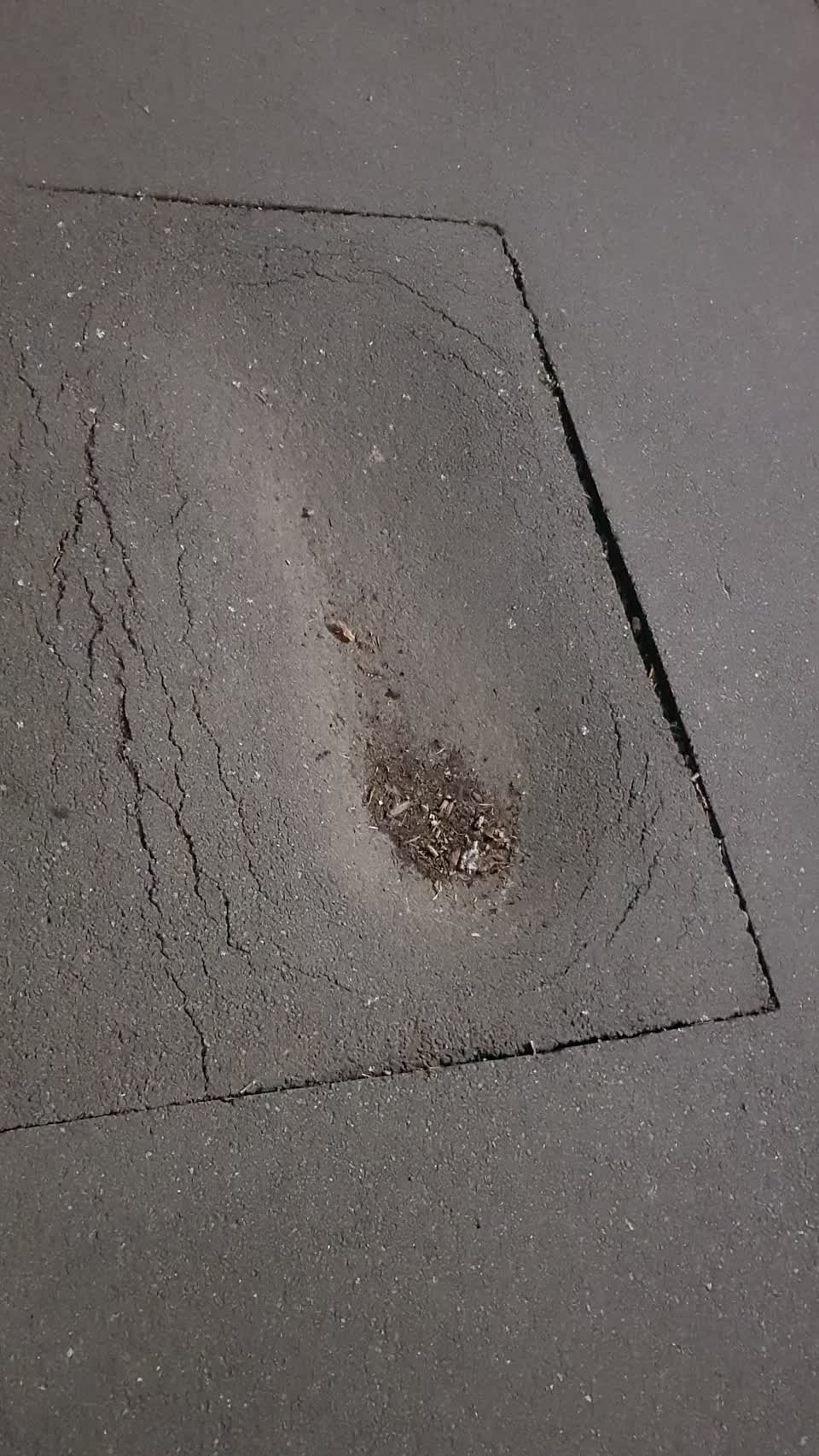 The photograph attached to this roading/streets report