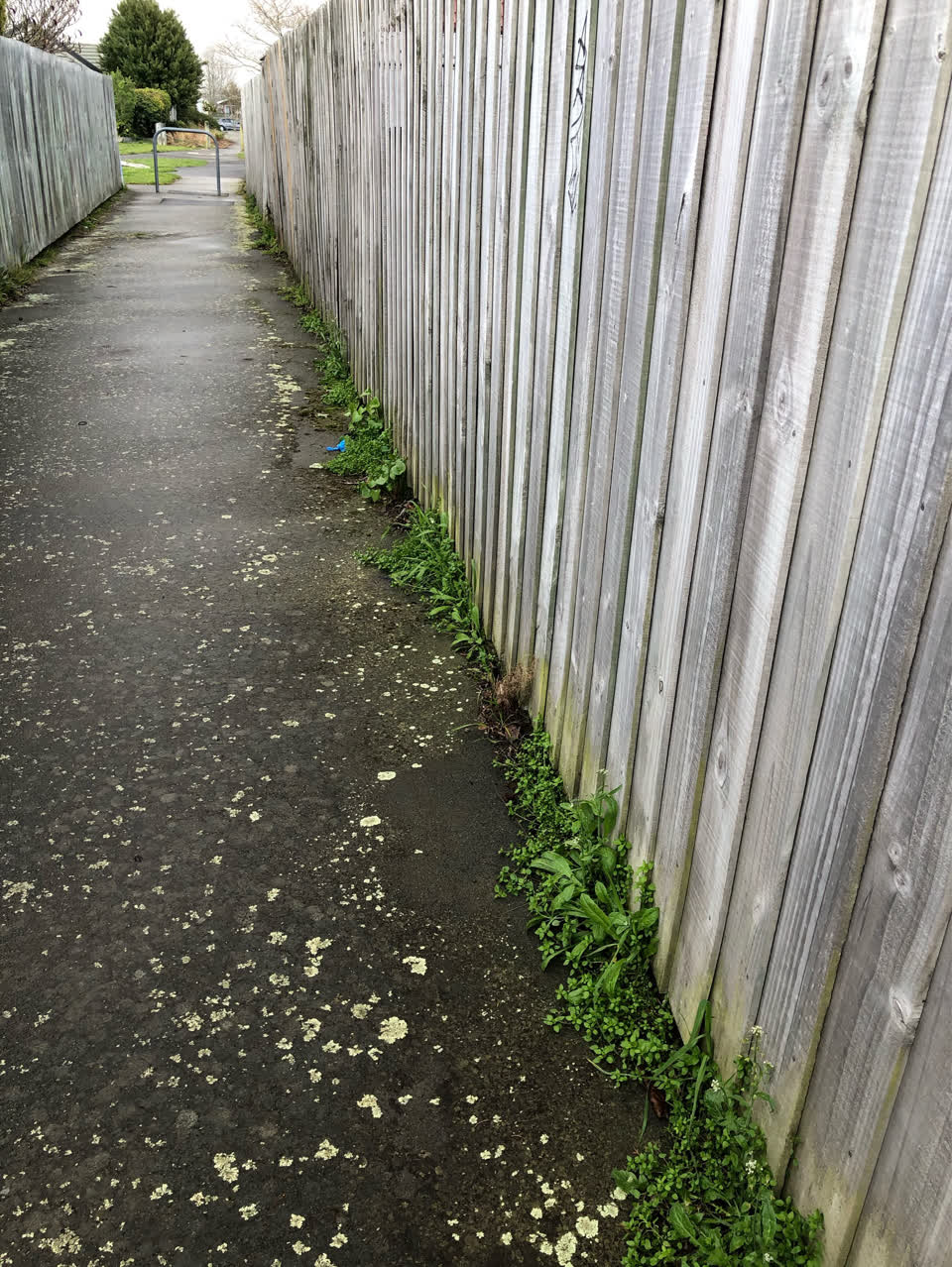 The photograph attached to this parks report