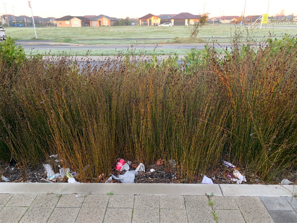 The photograph attached to this rubbish/recycling report