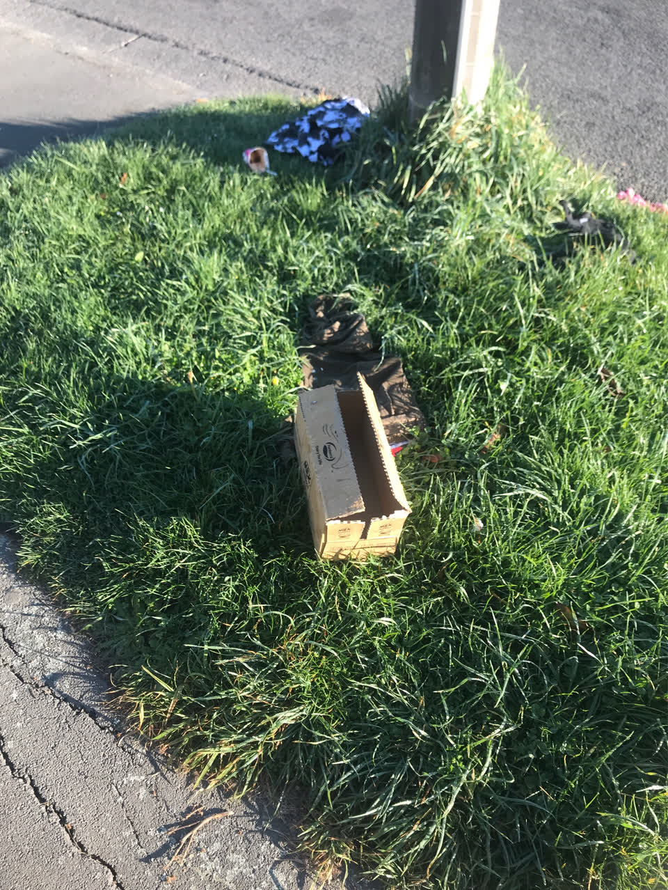 The photograph attached to this rubbish/recycling report