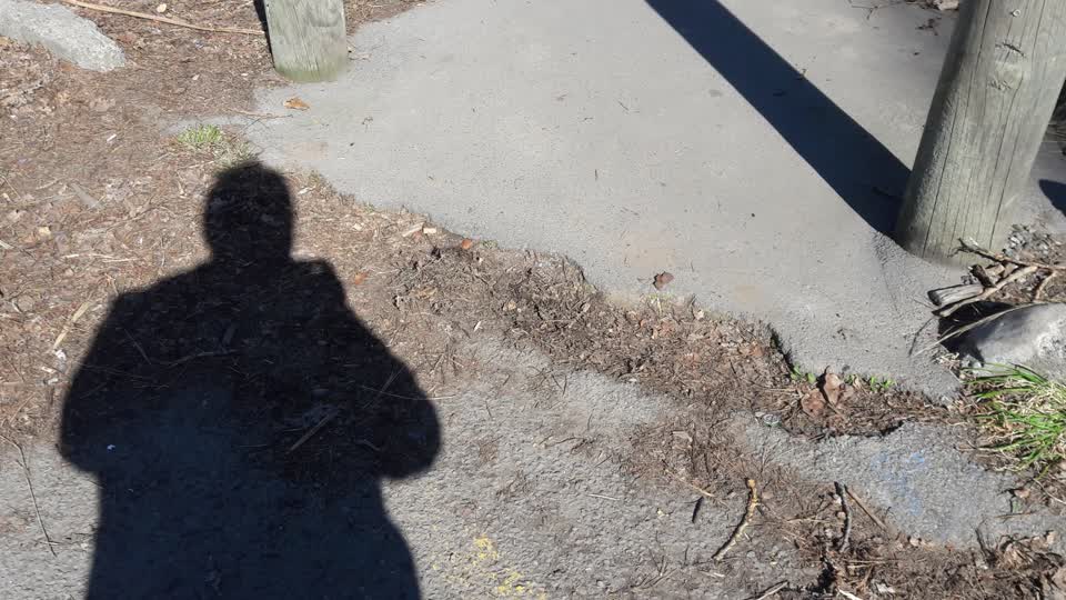 The photograph attached to this parks report