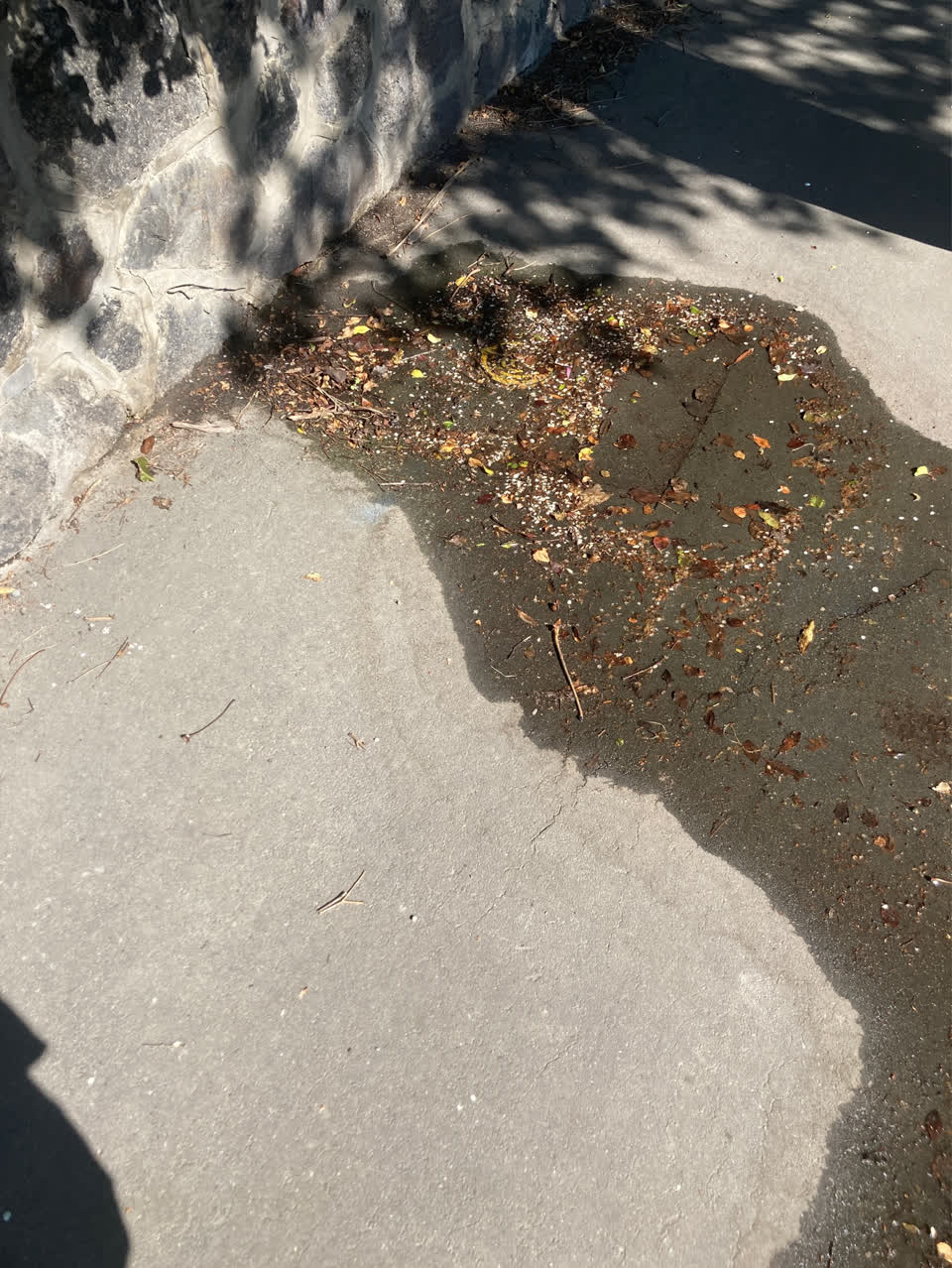 The photograph attached to this water supply report