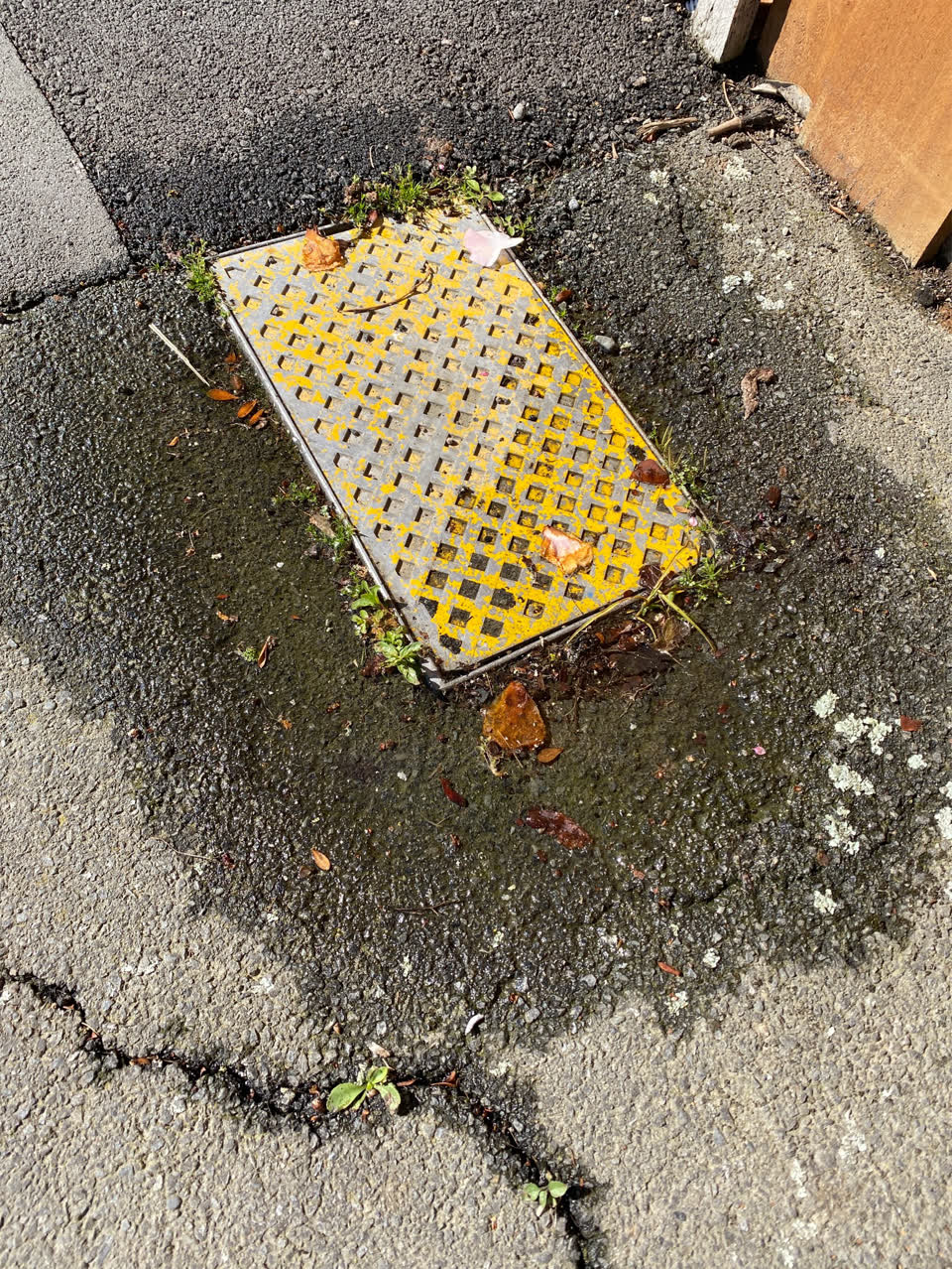 The photograph attached to this flooding report