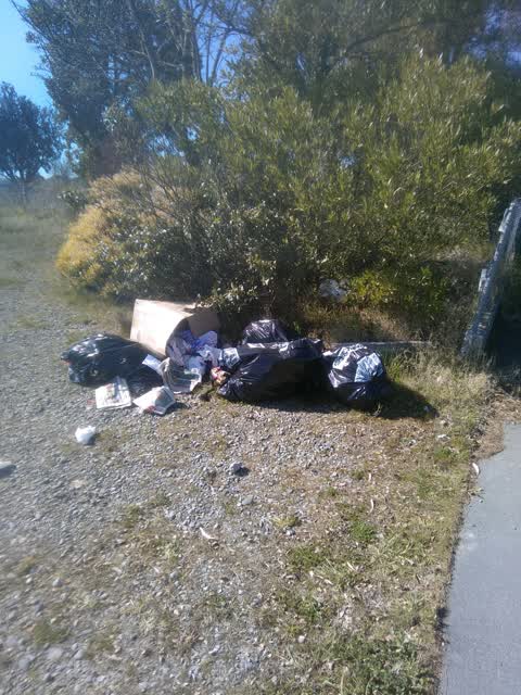Rubbish/Recycling, a report photo