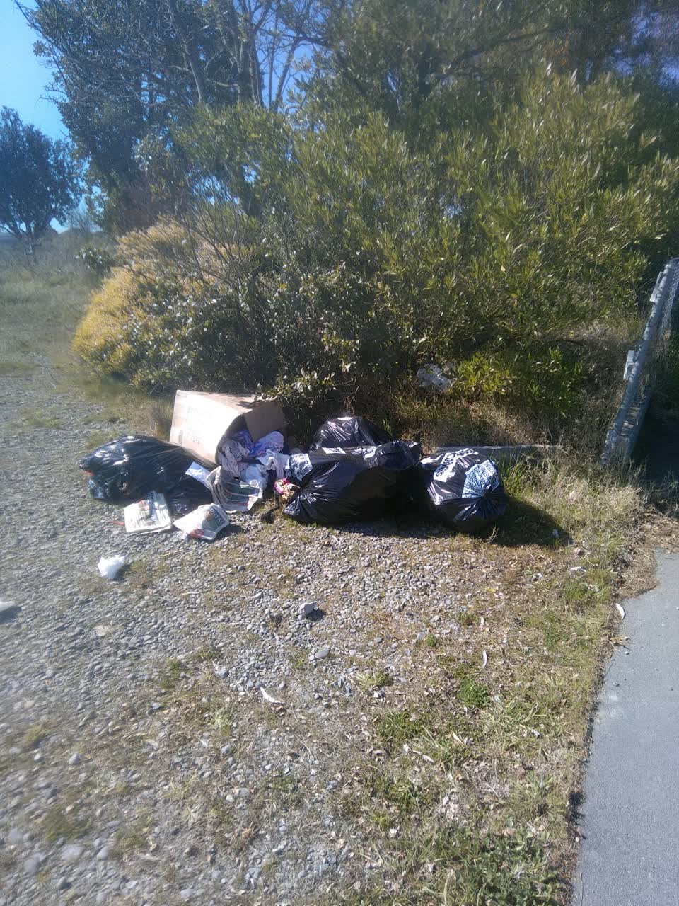 The photograph attached to this rubbish/recycling report