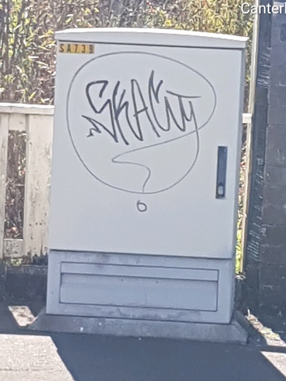 The photograph attached to this graffiti report