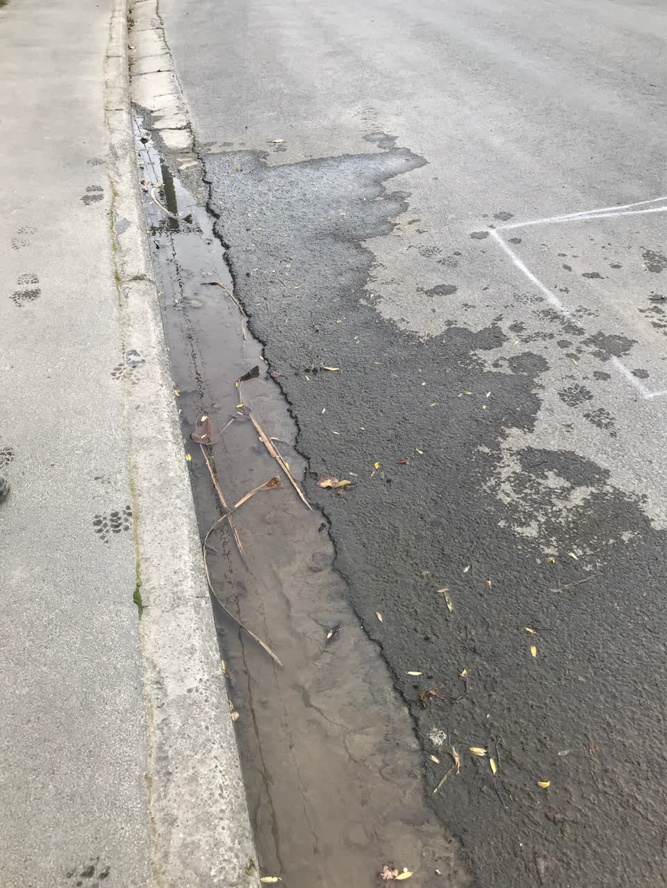 The photograph attached to this water supply report