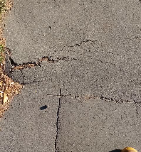 Roading/Streets, a report photo